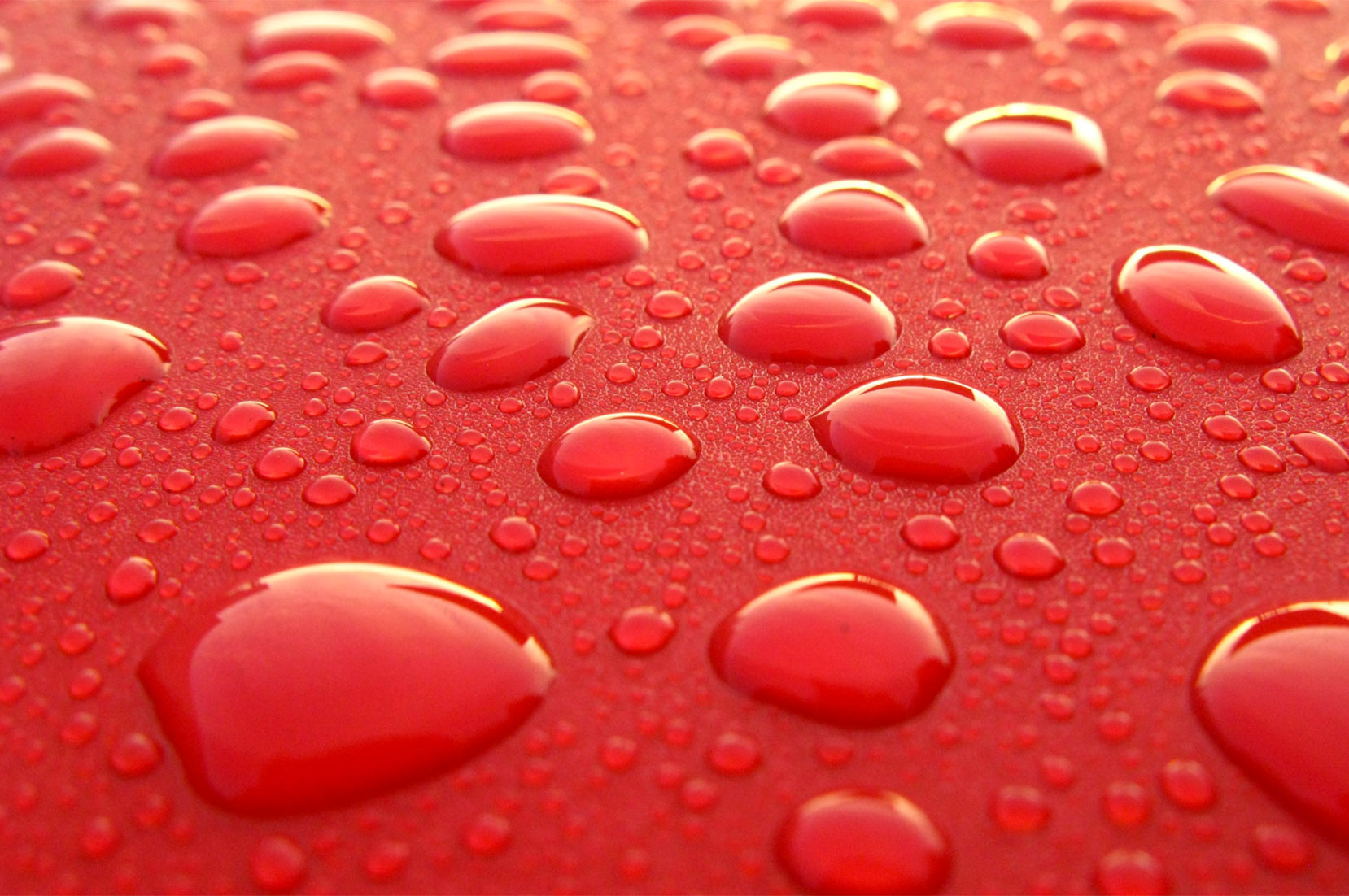 Nanotech MamaCarDetailing